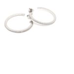 Whatsapp Image 2020 03 15 At 17.59.02