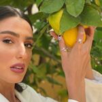 Img 1527 E1594083778594