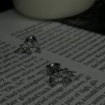 עגילים כסף כנף 1