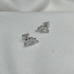 עגילים כסף כנף3