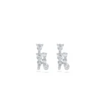 1722992201 Jetem Earing Silver 3 1