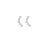 Jetem Earing Silver (12)